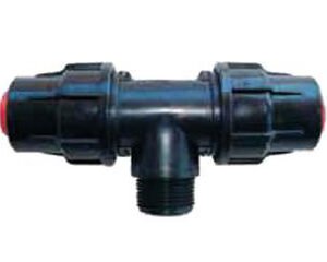 Ταυ Ρακόρ Αρσενικό